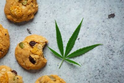 CBD Recipe: How to Prepare CBD Flower Cookies